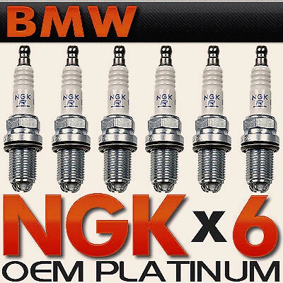 100 genuine ngk - 100%,