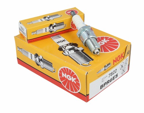 10pk ngk spark plug - 10pk,
